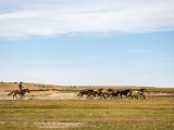 20190901-IMG 0620 : 2019, Mongolei, Mongolia