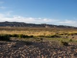 20190901-IMG 0681 : 2019, Mongolei, Mongolia