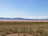20190903-IMG 0831 : 2019, Mongolei, Mongolia