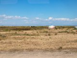 20190903-IMG 0834 : 2019, Mongolei, Mongolia