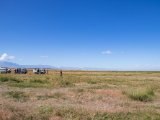 20190903-IMG 0847 : 2019, Mongolei, Mongolia