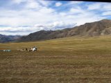 20190903-IMG 0964 : 2019, Mongolei, Mongolia