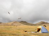 20190905-IMG 1288 : 2019, Mongolei, Mongolia