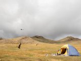 20190905-IMG 1289 : 2019, Mongolei, Mongolia