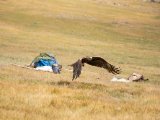 20190905-IMG 1346 : 2019, Mongolei, Mongolia