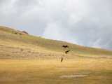 20190905-IMG 1363 : 2019, Mongolei, Mongolia