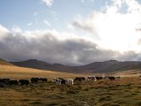 20190905-IMG 1379 : 2019, Mongolei, Mongolia