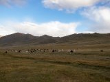 20190905-IMG 1401 : 2019, Mongolei, Mongolia