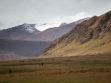20190907-IMG 1467 : 2019, Mongolei, Mongolia
