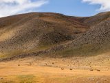 20190911-IMG 1749 : 2019, Mongolei, Mongolia