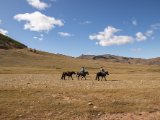 20190915-IMG 2026 : 2019, Mongolei, Mongolia