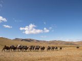 20190915-IMG 2031 : 2019, Mongolei, Mongolia
