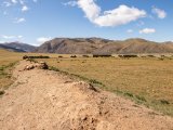 20190915-IMG 2047 : 2019, Mongolei, Mongolia