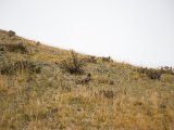 20190917-IMG 2490 : 2019, Mongolei, Mongolia