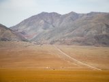 20190917-IMG 2554 : 2019, Mongolei, Mongolia