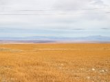20190917-IMG 2559 : 2019, Mongolei, Mongolia