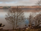 IMG 7338 : Loch Ness, Scotland