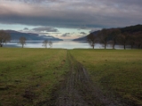IMG 7499 : Loch Ness, Scotland