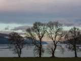 IMG 7503 : Loch Ness, Scotland