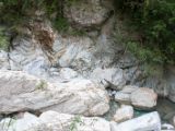 20120822-IMG 7892 : 2012, Taiwan, Taroko Gorge